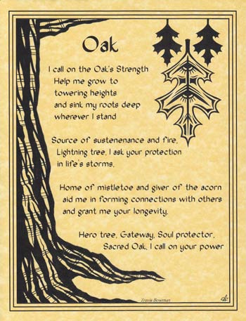 Oak - Click Image to Close