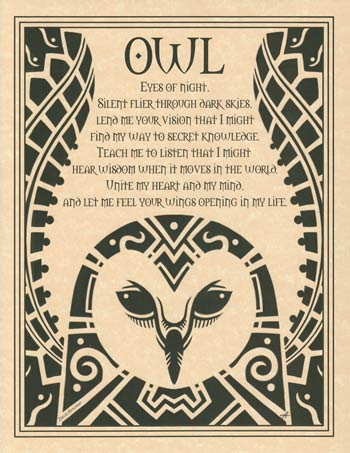 Owl