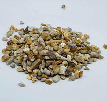 1 lb Fossil Coral tumbled chips 5-8mm