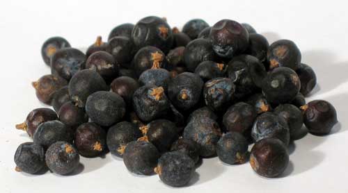 Juniper Berries whole 1oz - Click Image to Close