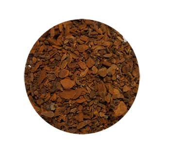 Sassafras Root cut 1oz (Sassafras albidium) - Click Image to Close